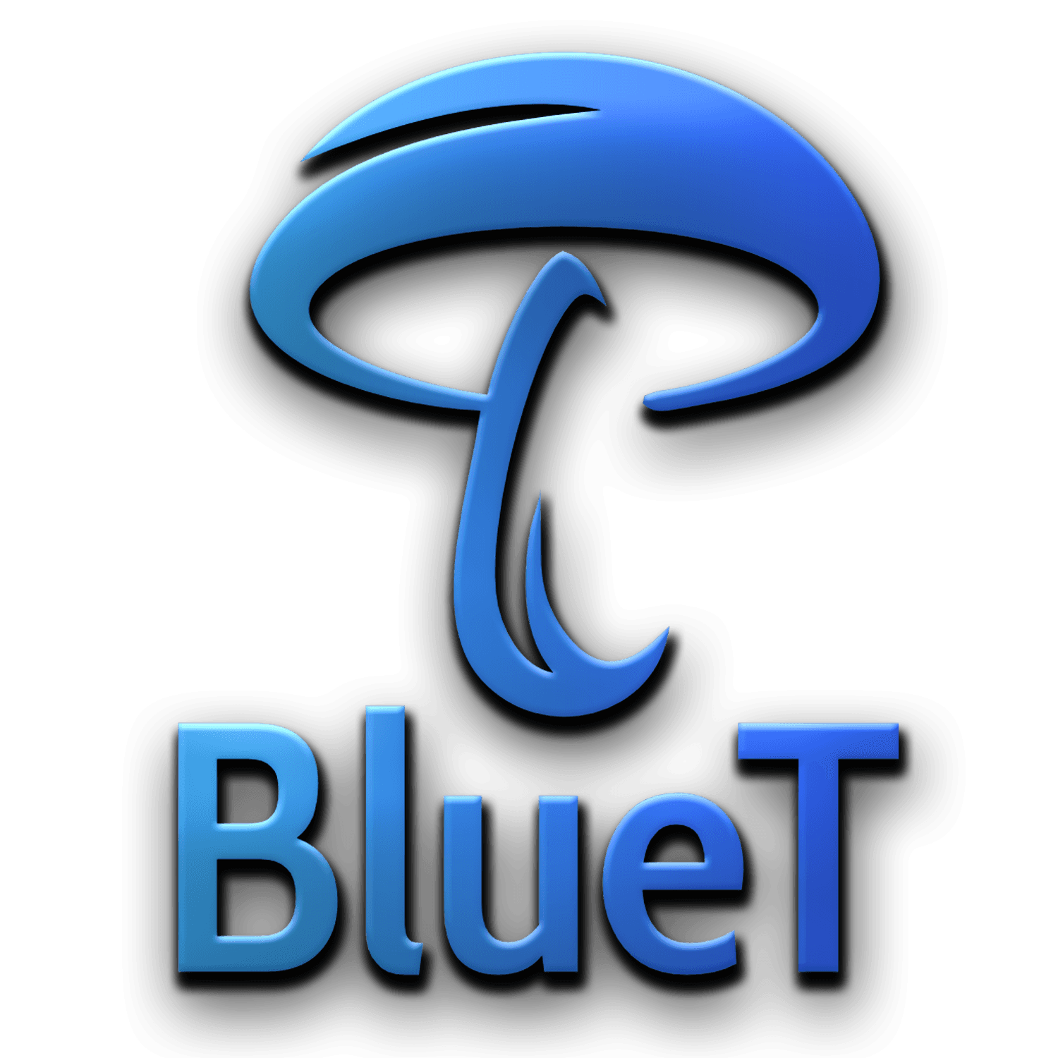 BlueT Loading